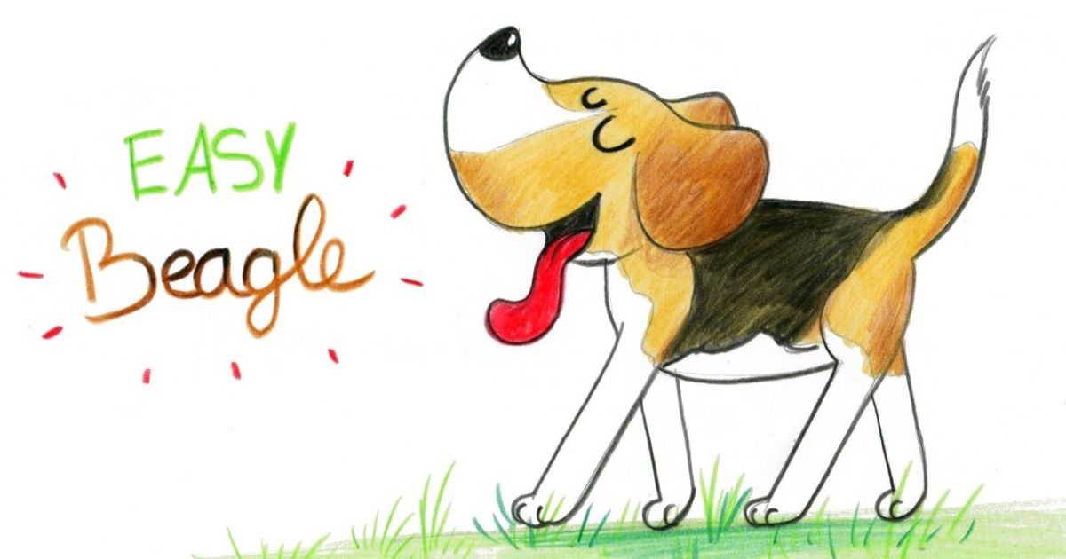 How To Draw a Beagle Dog?