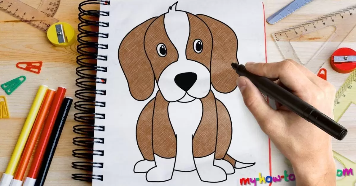 How To Draw a Beagle Puppy?