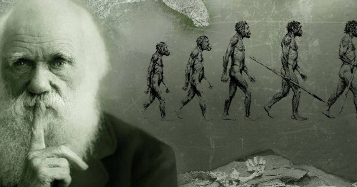 Influence on Darwin's Theory of Evolution